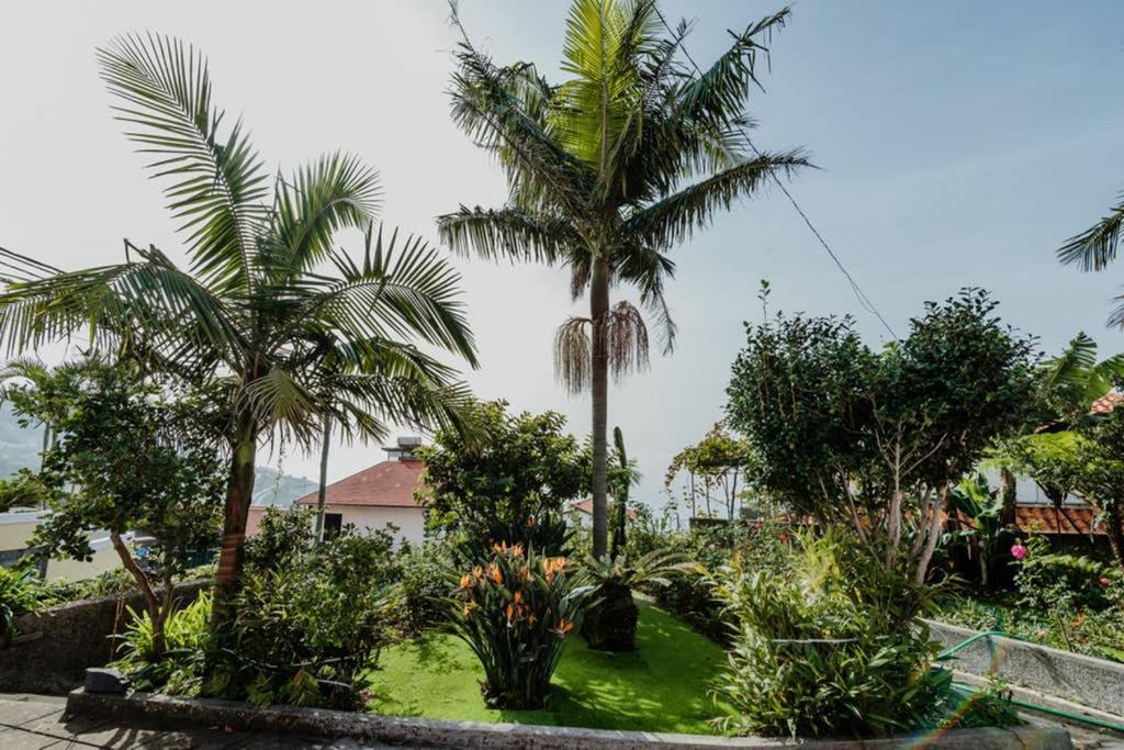 פונשל City View Gardens מראה חיצוני תמונה