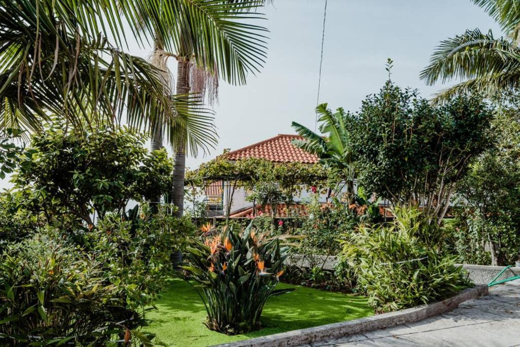 פונשל City View Gardens מראה חיצוני תמונה